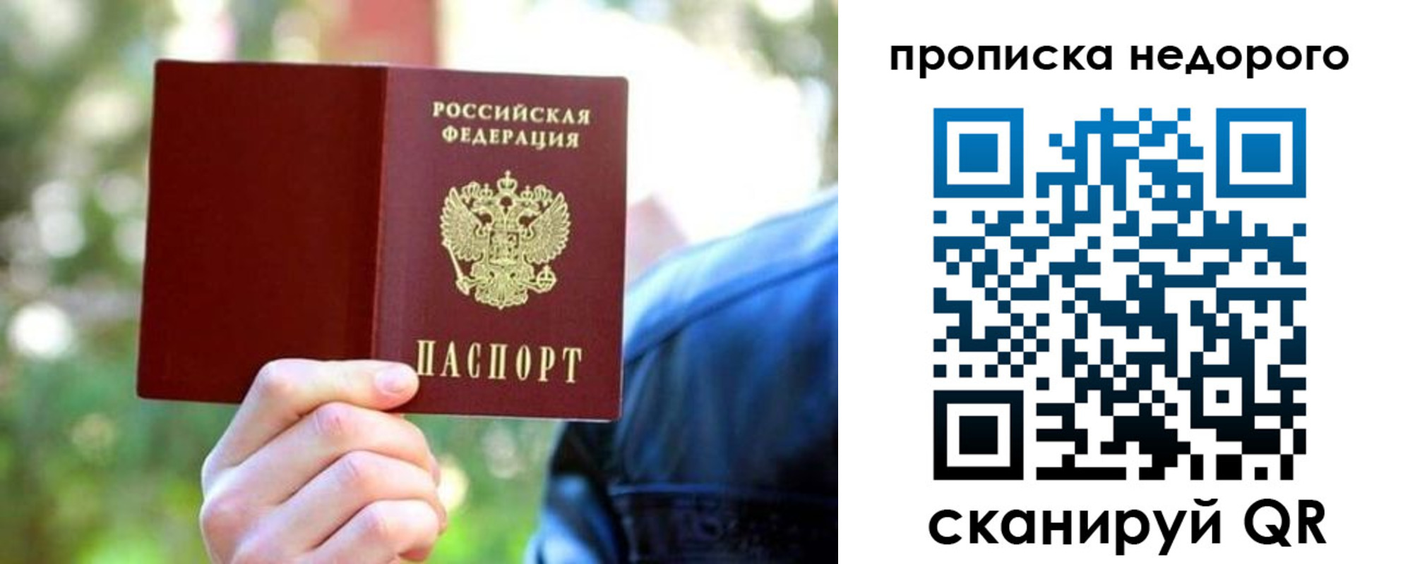 прописка в квартире в Мурманской области